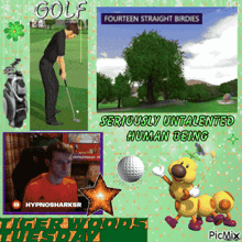 a picture of a man playing golf with the words seriously untalented human being at the bottom