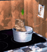 a cat is in a pot on a stove top