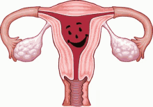 Koolaid Blood GIF - Koolaid Blood Uterus GIFs