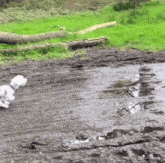 Labyerenth Dog GIF - Labyerenth Dog Explosion GIFs