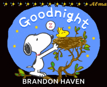 Good Night Snoopy GIF - Good Night Snoopy GIFs