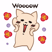 cute lovely pomeranian dog happy