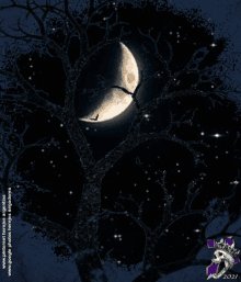 Noche Luna Estrellas GIF - Noche Luna Estrellas GIFs