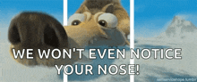 Sniff Nose GIF - Sniff Nose Ice Age GIFs