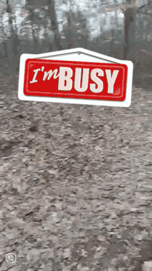 Im Busy Busy GIF - Im Busy Busy Dog GIFs
