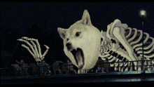 Doge Is Undead GIF - Doge Is Undead GIFs