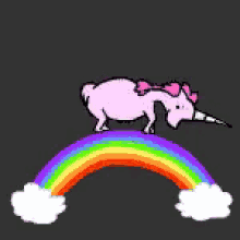 pink unicorn rainbow fluffy
