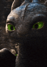 toothless from how to train your dragon is looking at the camera with bright green eyes