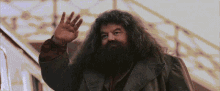 Harry Potter And The Philosophers Stone Rubeus Hagrid GIF - Harry Potter And The Philosophers Stone Harry Potter Rubeus Hagrid GIFs