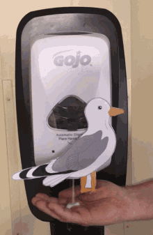 Hand Sanitizer Bird Poop GIF - Hand Sanitizer Bird Poop Funny GIFs