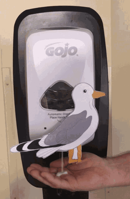 Dove Poop GIFs