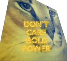 a sign that says " do n't care gold power "