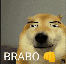 Brabo Q Pro GIF - Brabo Q Pro Que Pro GIFs