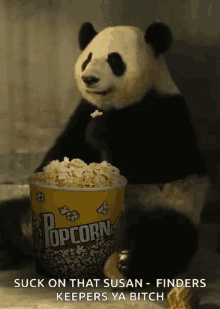 Popcorn Panda GIF - Popcorn Panda Eating GIFs