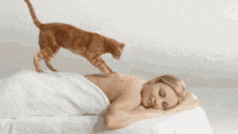 Massage Cat GIF