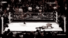 a man in a wrestling ring with a sign that says punch