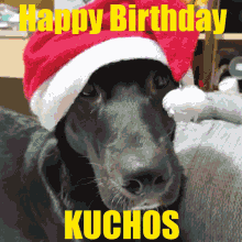 Kuchos Happy Birthday Kuchos GIF - Kuchos Happy Birthday Kuchos Pompa Daddy GIFs