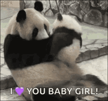 I Love You Baby Girl Panda GIF - I Love You Baby Girl Panda Love GIFs