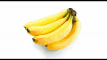 1450 Banana GIF - 1450 Banana Sunflower GIFs