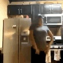 Dancing Refrigerator GIF - Dancing Refrigerator Worm GIFs