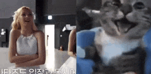 a woman in a white dress is standing next to a cat in a room .