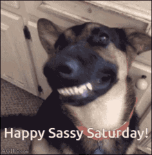 Sassy Saturday Sassy Saturday Bish GIF - Sassy Saturday Sassy Saturday Bish GIFs