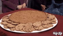 Cookie Monster Surprise GIF - Cookie Monster Surprise Snacks GIFs