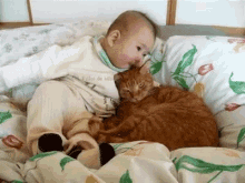 Cat Kiss GIF - Cat Kiss Baby GIFs