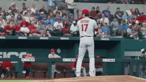Ohtani-vs-soto GIFs - Get the best GIF on GIPHY
