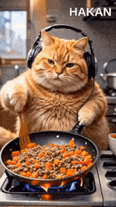 a cat wearing headphones is stirring a pan of food .
