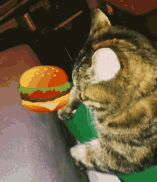 Lily Burger GIF - Lily Burger Cat GIFs