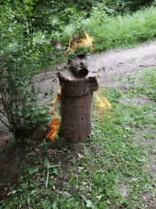 Fire Log GIF - Fire Log Animated GIFs