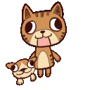 a cat and a dog are standing next to each other on a white background .