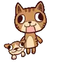 a cat and a dog are standing next to each other on a white background .