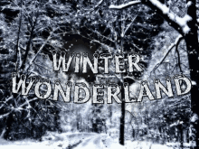 Winter Wonderland Winter Is Here GIF - Winter Wonderland Winter Is Here Snow Day GIFs