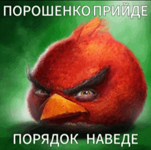 Angry Birds Poroshenko GIF - Angry Birds Angry Bird Poroshenko GIFs