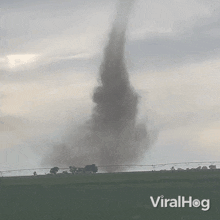 a tornado in a field with the words viralhog on the bottom right