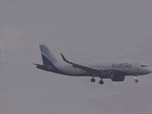 a indigo airplane is taking off from a runway