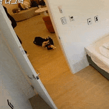 a person is laying on the floor in a bedroom with a door open to a living room