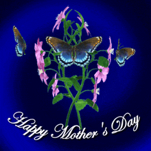 a happy mother 's day card with pink flowers and butterflies on a blue background
