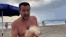 Salvini Dog GIF - Salvini Dog GIFs