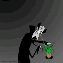 Plant Hypnotist Plant GIF