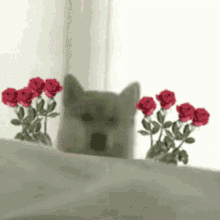 Dog Flower GIF