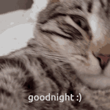 Good Night Sleep GIF - Good Night Sleep Sleepy GIFs
