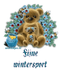 uiop22 teddy bear winter sport