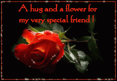 For A Special Friend Hug Friend GIF - For A Special Friend Special Friend  Hug Friend - Discover & Share GIFs