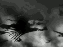 Creepy Flyingcreatures GIF - Creepy Flyingcreatures GIFs
