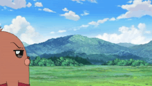 a cartoon character with an angry look on his face stands in a field with mountains in the background