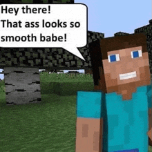 a minecraft character with a speech bubble that says `` hey there ! that ass looks so smooth babe ''