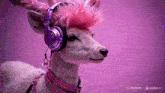 a deer wearing headphones and a pink mohawk